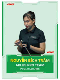 Nguyễn Bích Trâm