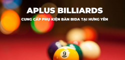 Cung Cấp Phụ Kiện Bàn Bida Tại Hưng Yên Aplus Billiards Uy Tín