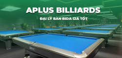 Đại Lý Bàn Bida Giá Tốt Tại Hưng Yên Aplus Billiards