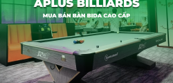 Mua Bán Bàn Bida Cao Cấp Tại Hà Nội
